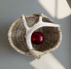 Custom handmade shed deer antler basket in natural by LA based artist, Dax Savage.