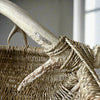 Custom handmade shed deer antler basket in natural by LA based artist, Dax Savage.